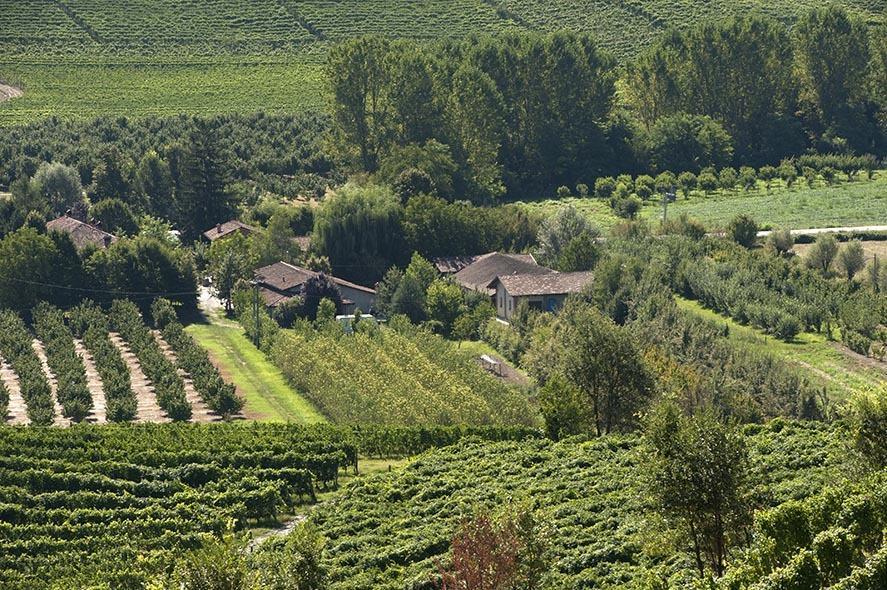Cascina Ballarin Villa La Morra Kültér fotó