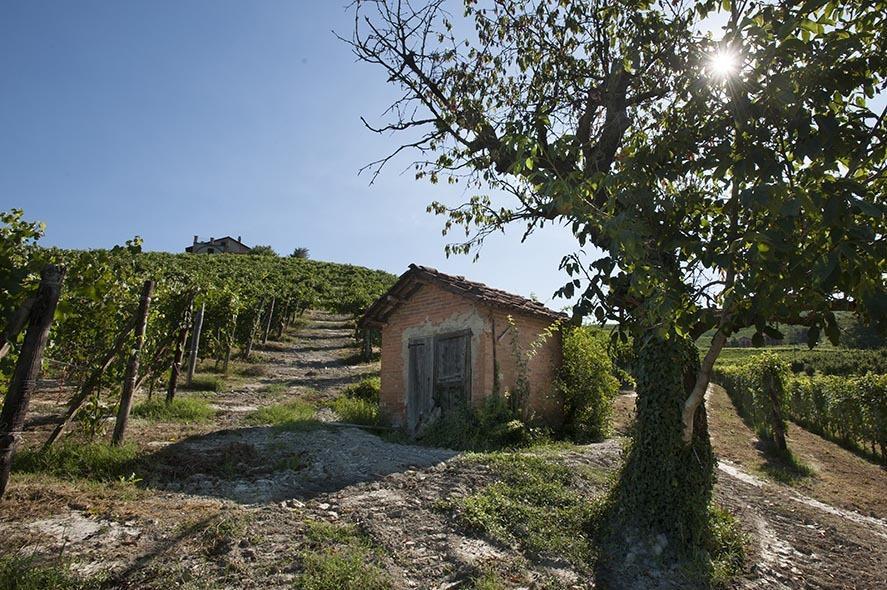 Cascina Ballarin Villa La Morra Kültér fotó
